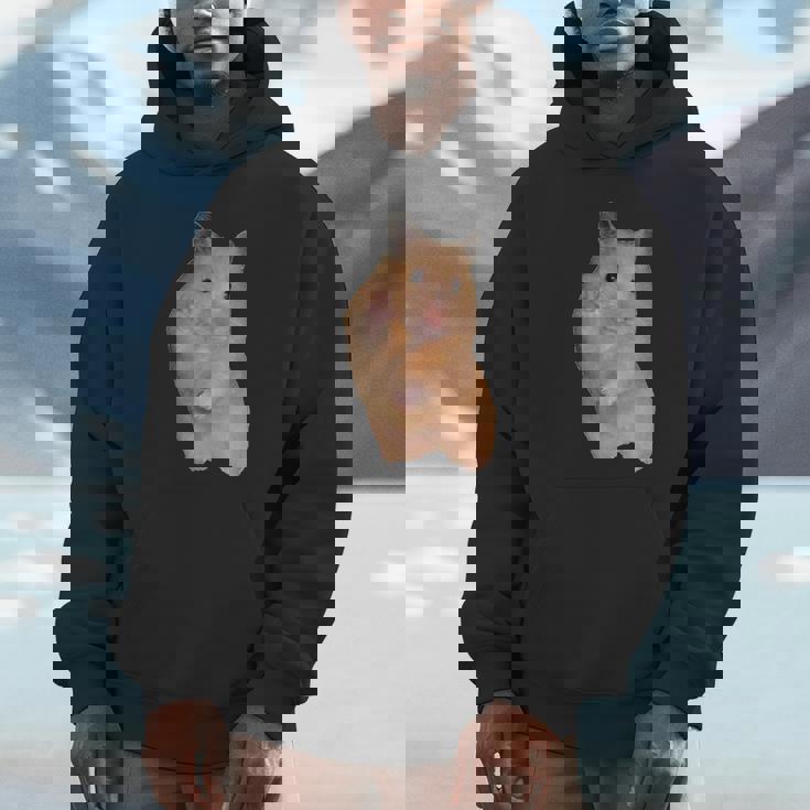 ピースサイン ハムスター ミーム Hoodie