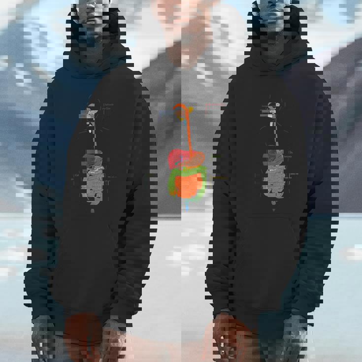 人体消化器系消化管の解剖学 Hoodie
