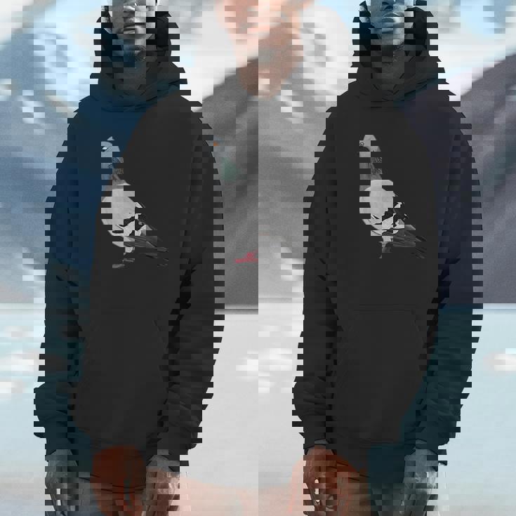 伝書鳩 鳥 動物 図 バードウォッチング 贈り物 鳥類学者 パーカー