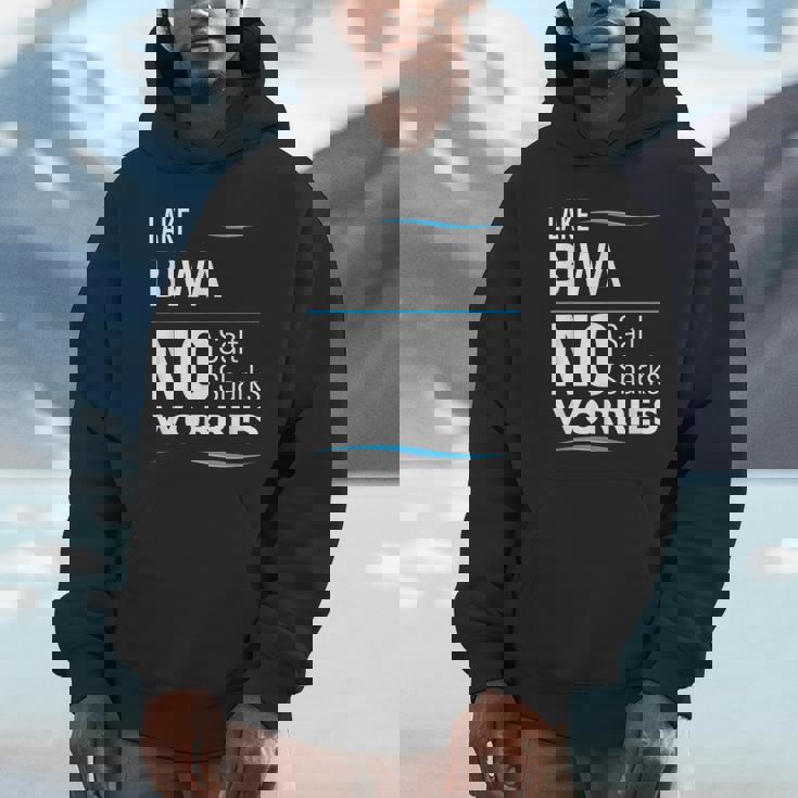 湖 ビワ ファニー パーカー