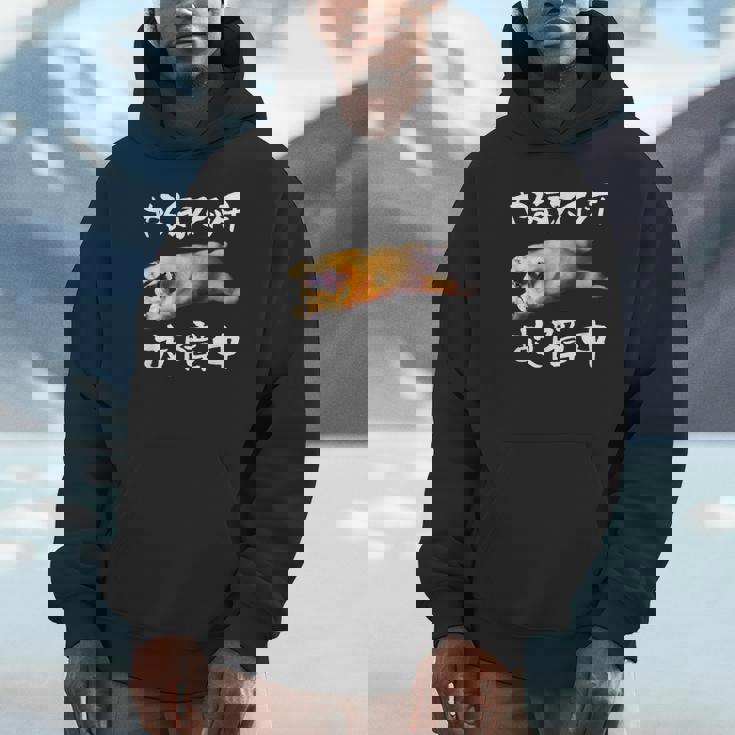 面白いtシャツ ゴールデンレトリバー やる気スイッチ イヌ メンズ グッズ おもしろ 面白い 服 ネタ Hoodie