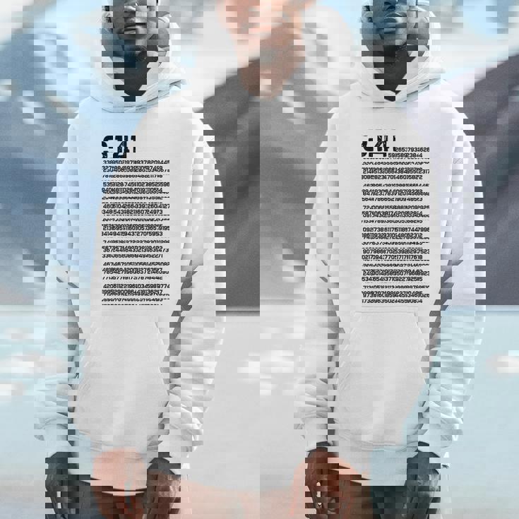 314 円周率の日 数学 非合理数 円周率 Hoodie