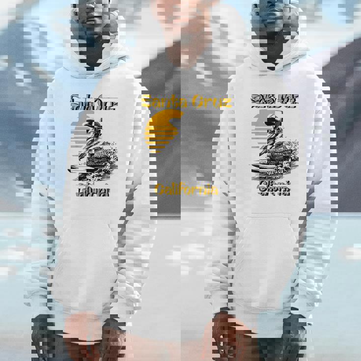 70S 80S Ca レトロ サーフィン ペリカン サンタクルーズ パーカー