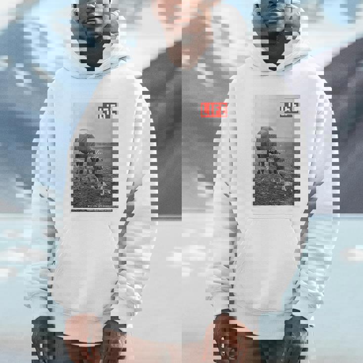 Life Picture Collection 馬と猫（1） パーカー