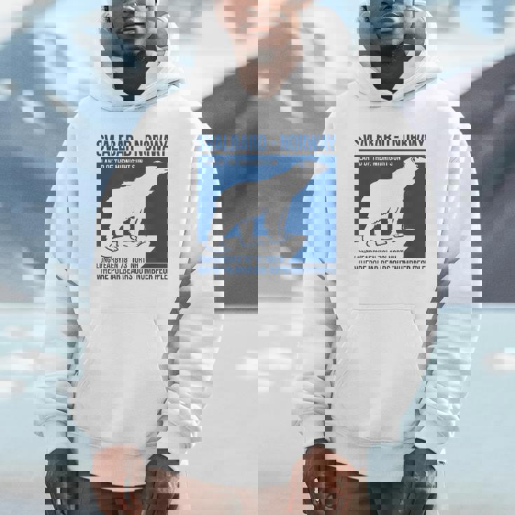 Svalbard ノルウェー ポーラーベア ロングイヤービーン スピッツベルゲン オーロラ パーカー