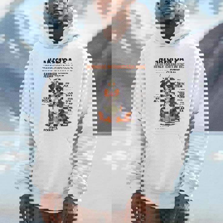 かわいい犬の説明 バーニーズ・マウンテン・ドッグの解剖学 パーカー