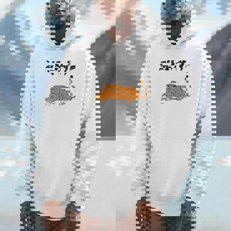 ねむタイガー ネタ ダジャレ おやじギャグ お笑い ギャグ ダジャレ好き ツッコミ 虎 動物好き おもしろ パーカー