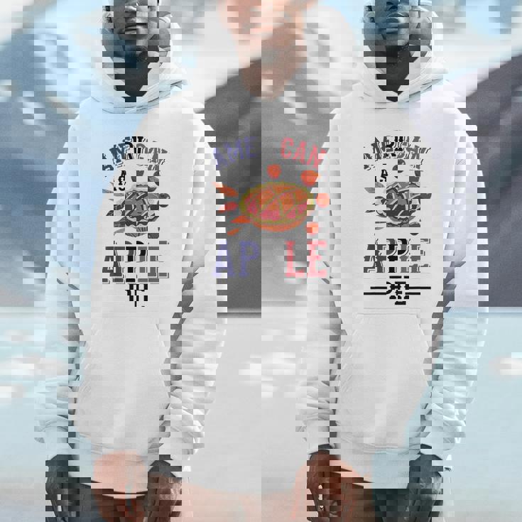 アメリカ国旗-アメリカン・アズ・アップルパイ パーカー