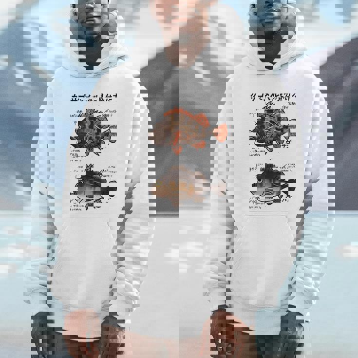 カサゴとメバルの見分け方 Hoodie