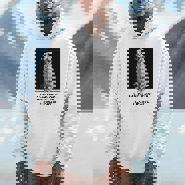 ゴールデンレトリーバー セラピー 、ゴールデンレトリーバー オーナーギフト パーカー