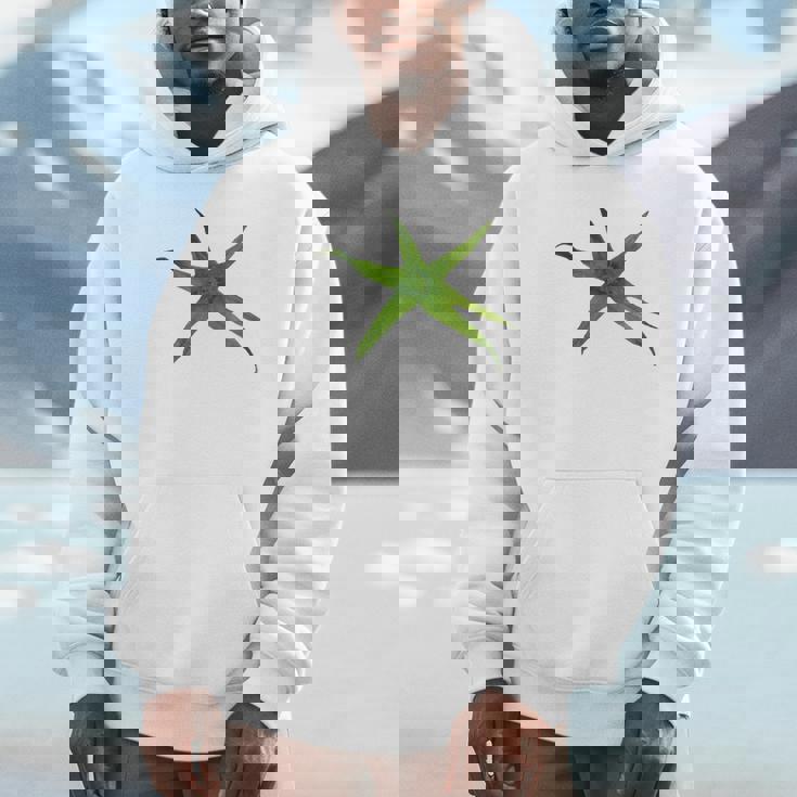 トマトイージー コスチューム トマトに変身 パーカー