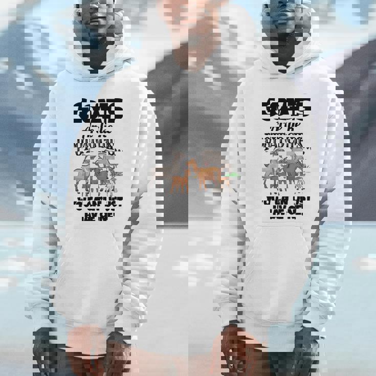 ヤギの恋人たちのためのヤギシャツ 農場アパレル ミームパンファニーヤギ 長袖tシャツ パーカー