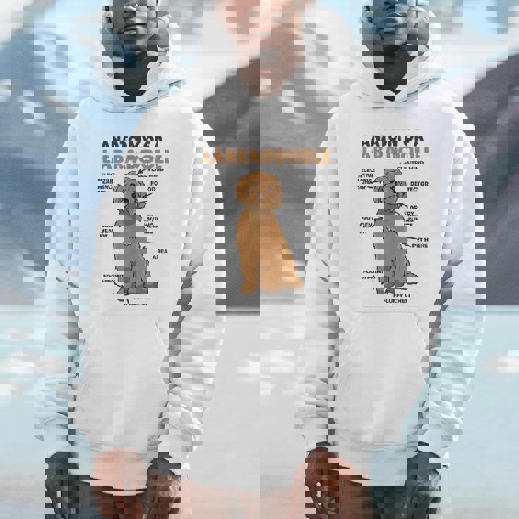 ラブラドゥードルの解剖学かわいい犬面白い犬ラブラドゥードル Hoodie