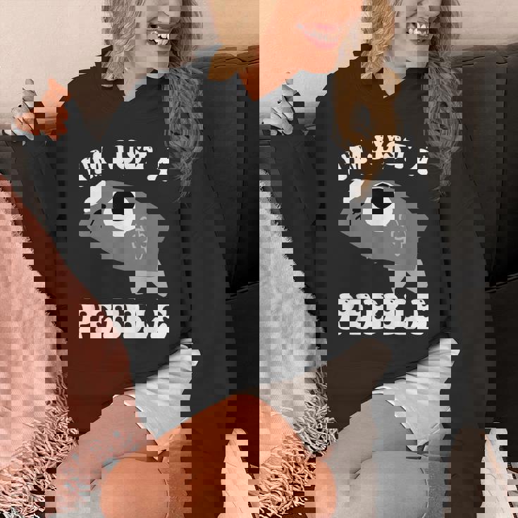 アイム・ジャスト・ア・ペブル・ダンディーズ・ワールド パーカー