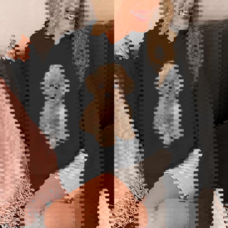 トイプードル犬、品種、ミニプードル子犬 パーカー