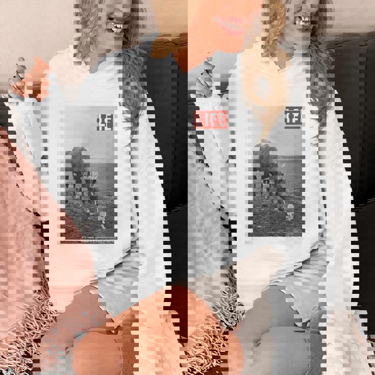 Life Picture Collection 馬と猫（1） パーカー