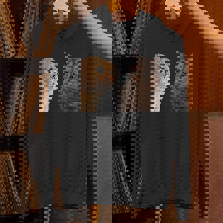 2匹の猫がミームを話す 長袖tシャツ パーカー