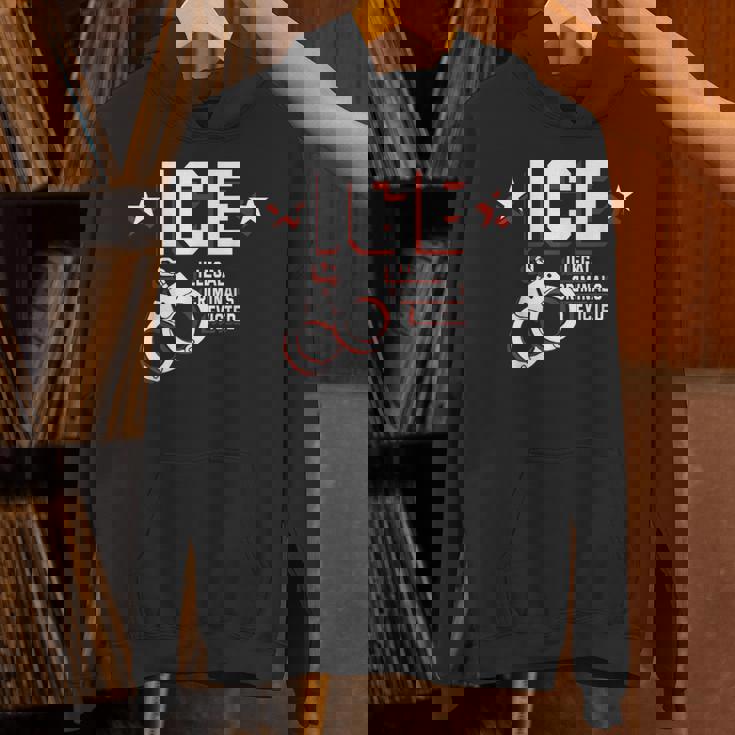 Ice Illegal Criminals Evicted Hoodie