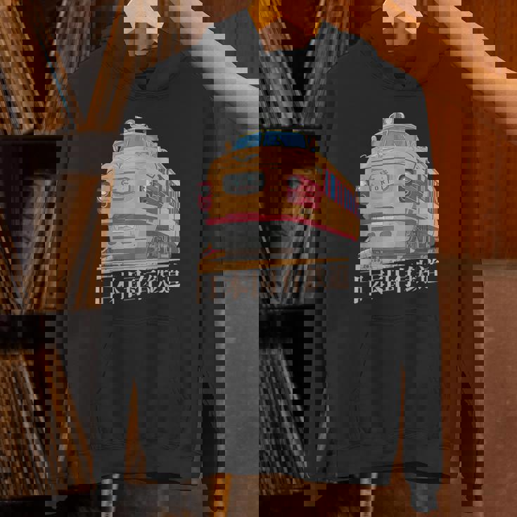 Kuha 181 1960年代 70年代 ヴィンテージ 日本のトキエクスプレス 電車 パーカー