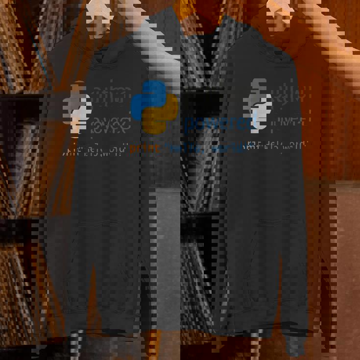 Pythonプログラマーティーコンピューター開発者 Hoodie