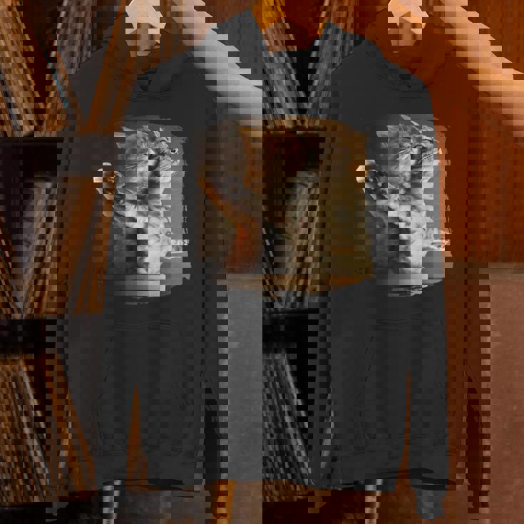 TitaniCムービーにインスパイアされた面白い猫好きのミーム。 パーカー