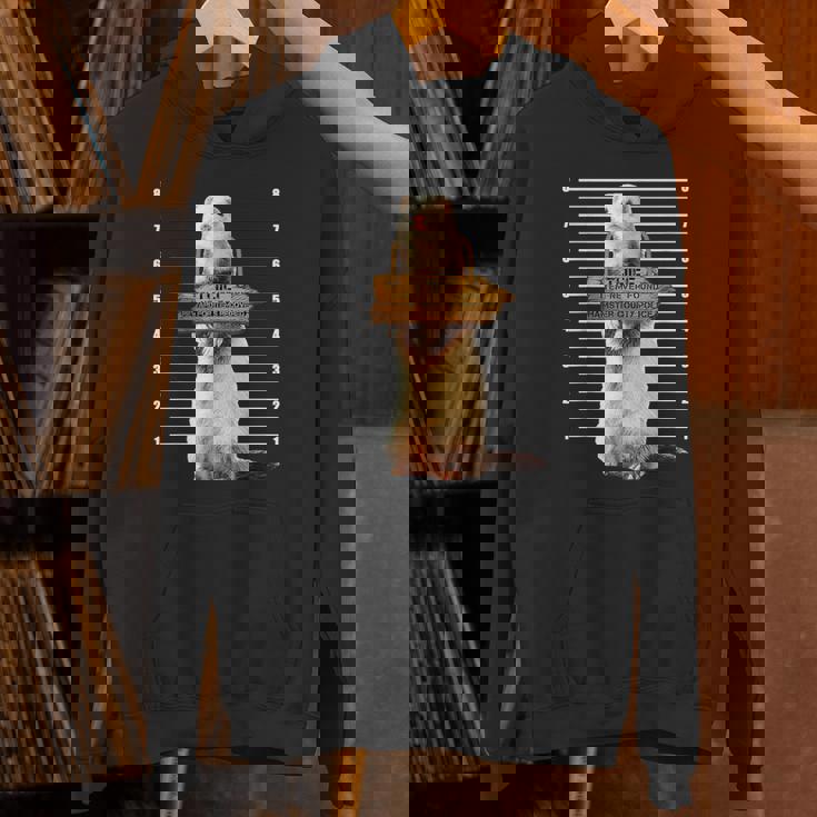 かわいいフェレット泥棒 面白い動物 パーカー