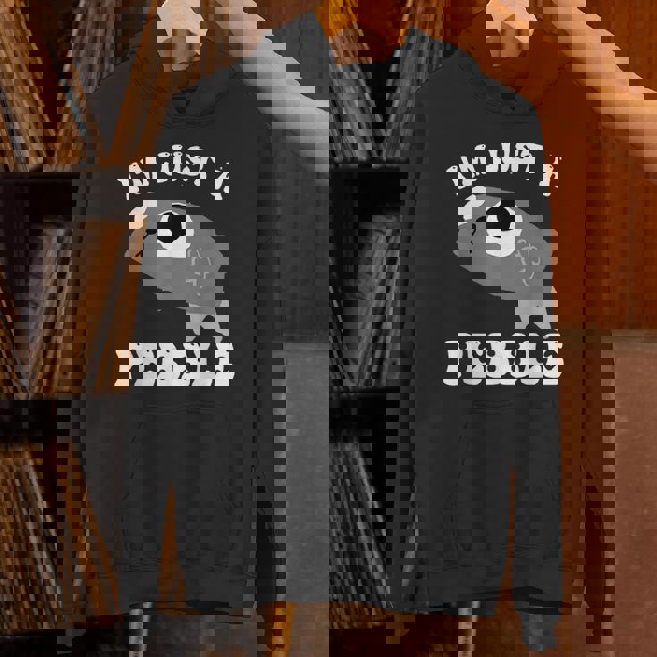 アイム・ジャスト・ア・ペブル・ダンディーズ・ワールド パーカー