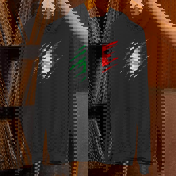 イタリア国旗 トリコロール イタリアバナー Hoodie