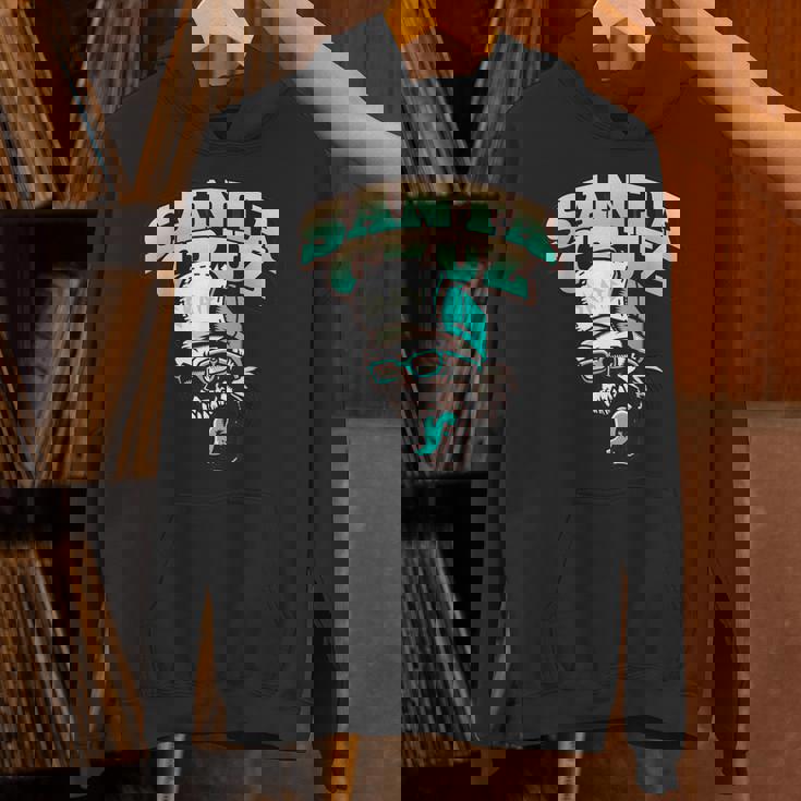 クラシック カリフォルニア スケーター サンタクルーズ パーカー