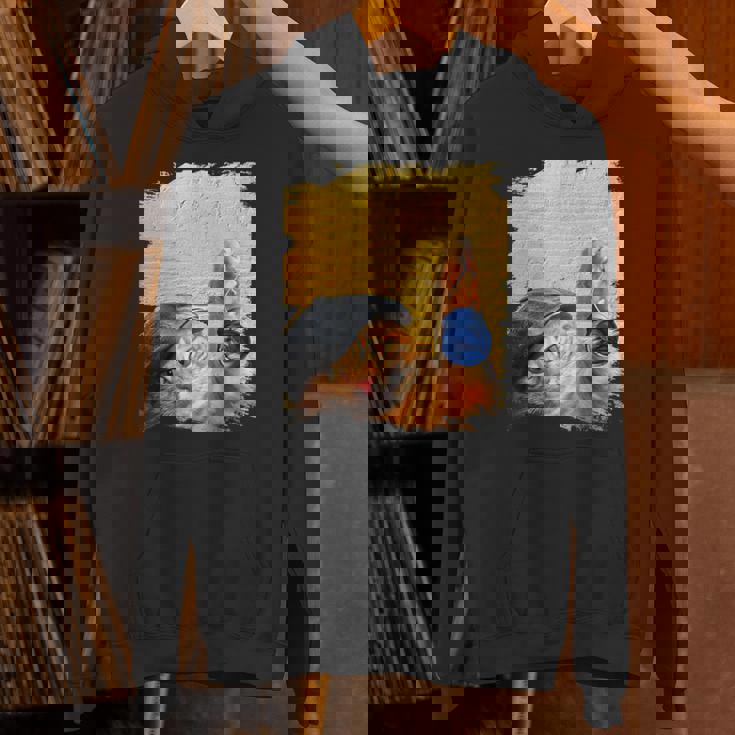 クラシックブルーヨーヨーの猫 パーカー