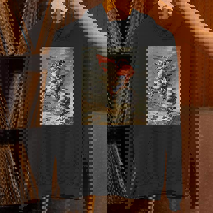 ナポレオン・ボナパルト ジャック・ルイ・デイヴィッド ネオクラシシズムアート パーカー