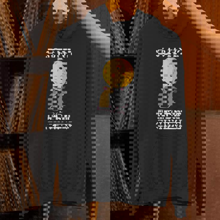 ピックルボール用パドル ラケット、ピックルボール用ボール、ピックルボール パーカー