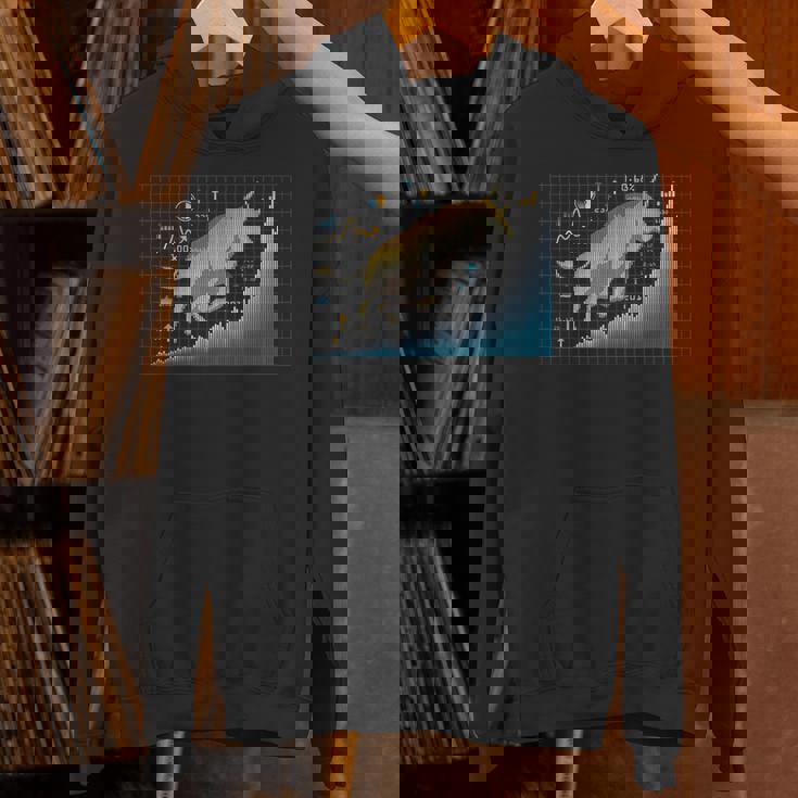 ブル・インベスター 株式市場 為替 資本主義 投資 Hoodie