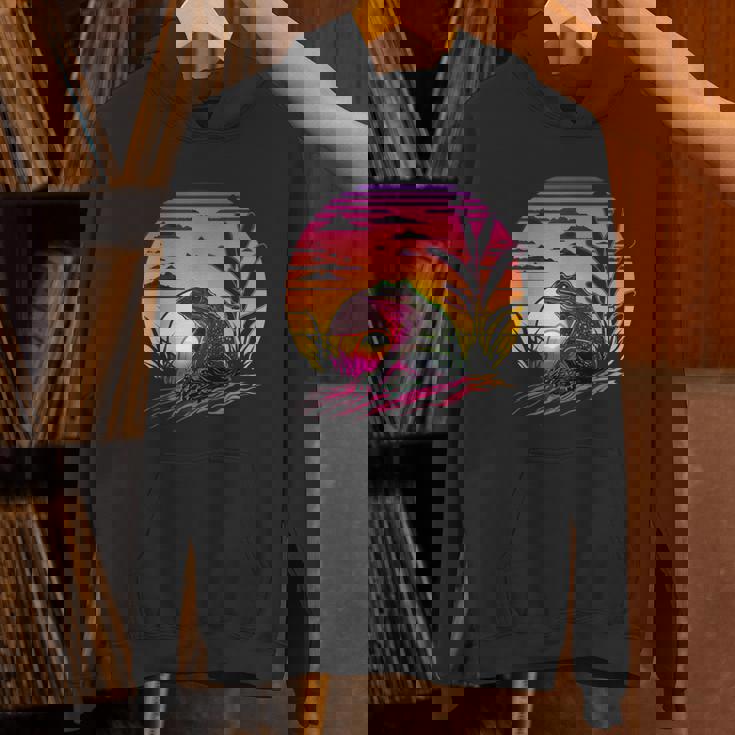 レトロなエステティックフロッグ パーカー