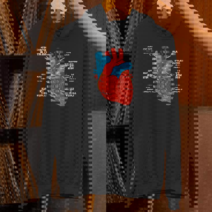 心臓解剖学教育 循環器学 パーカー