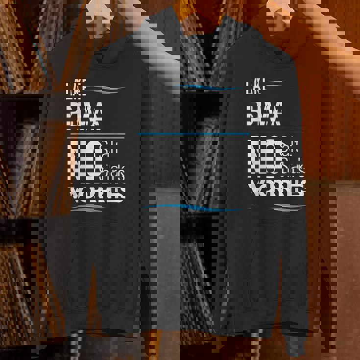 湖 ビワ ファニー パーカー