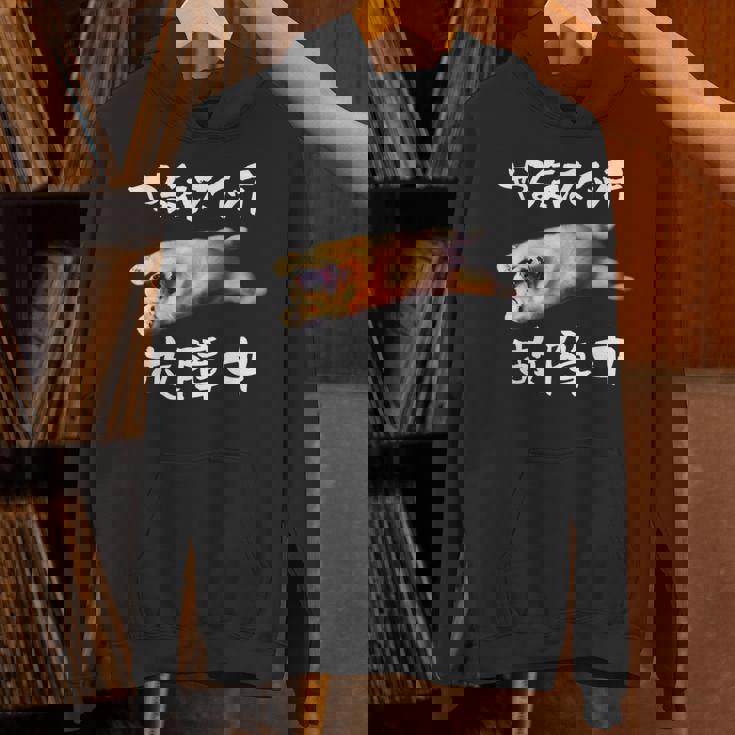 面白いtシャツ ゴールデンレトリバー やる気スイッチ イヌ メンズ グッズ おもしろ 面白い 服 ネタ Hoodie