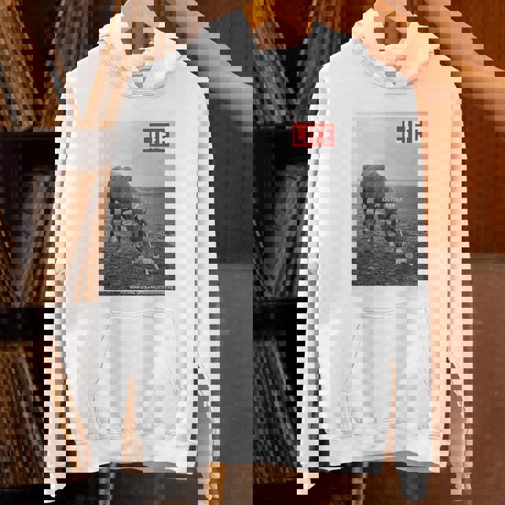 Life Picture Collection 馬と猫（1） パーカー