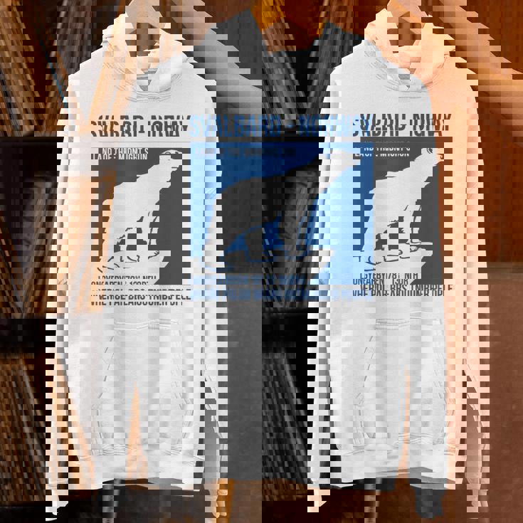 Svalbard ノルウェー ポーラーベア ロングイヤービーン スピッツベルゲン オーロラ パーカー