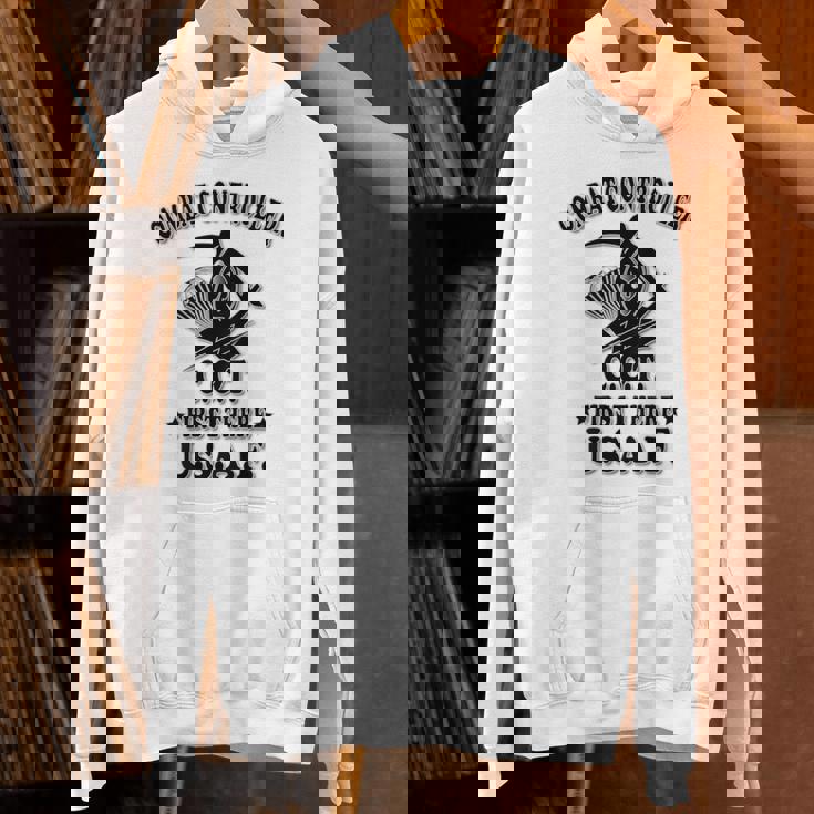 USAF Cct コンバットコントローラー バックデザイン パーカー