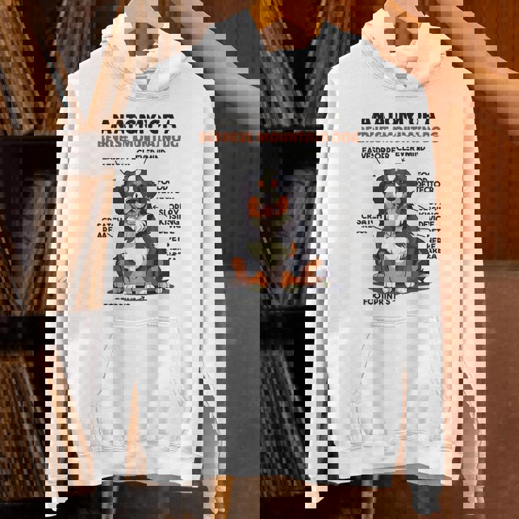 かわいい犬の説明 バーニーズ・マウンテン・ドッグの解剖学 パーカー