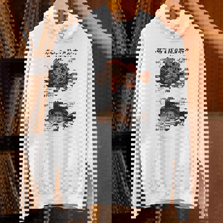 カサゴとメバルの見分け方 Hoodie