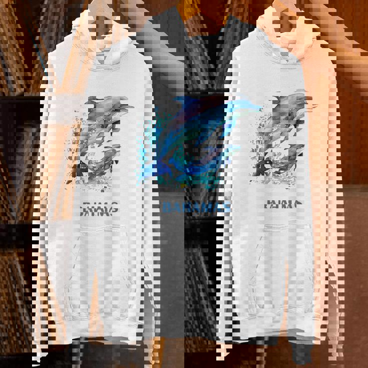 ドルフィン バケーション ヴィンテージ バハマ ビーチ デスティネーション パーカー