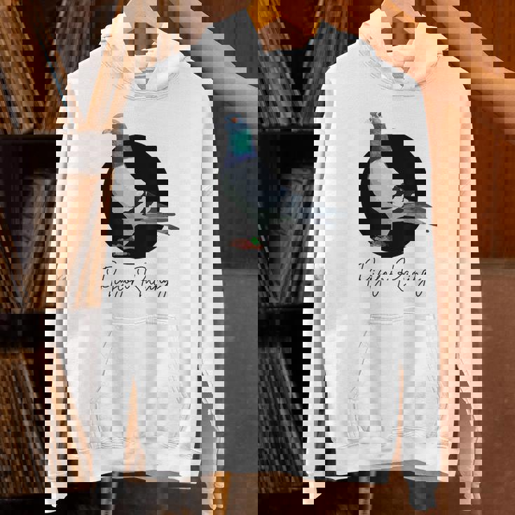 ピジョン レーシング コロンボフィール ダイヴェンスポーツ タウベンチュヒター ピジョン パーカー