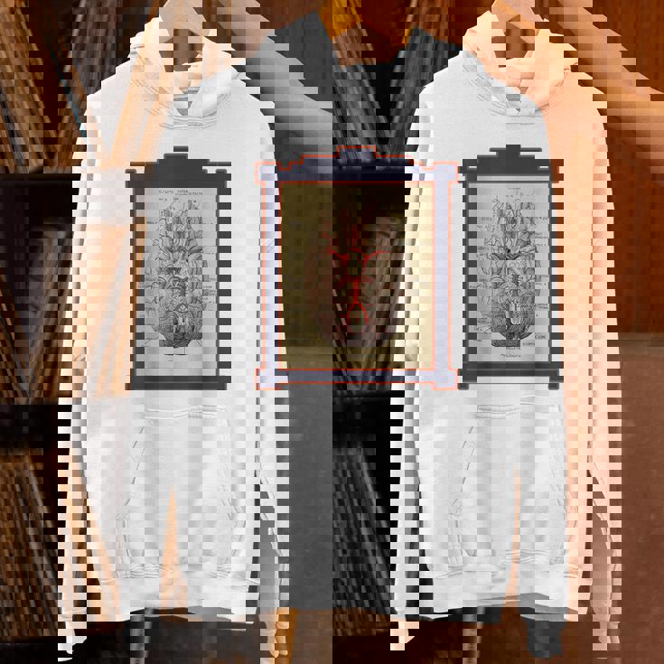 ヴィンテージ 人間の脳 解剖図 パーカー