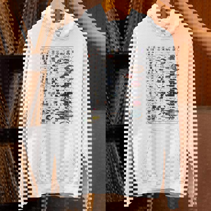 昆虫コレクション種ヴィンテージバグチャート昆虫学 Hoodie