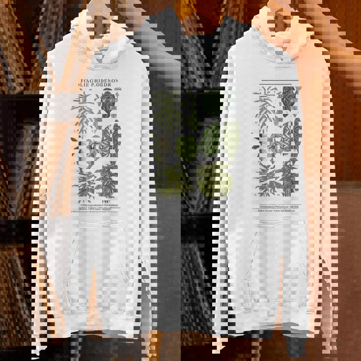 葉 フィロデンドロン サトイモ 植物 恋人 ギフト アンスリウム パーカー