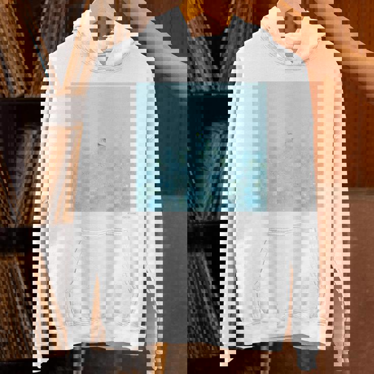 詩とメルヘン 葉祥明 おなかの赤ちゃんとお話ししようよ パーカー