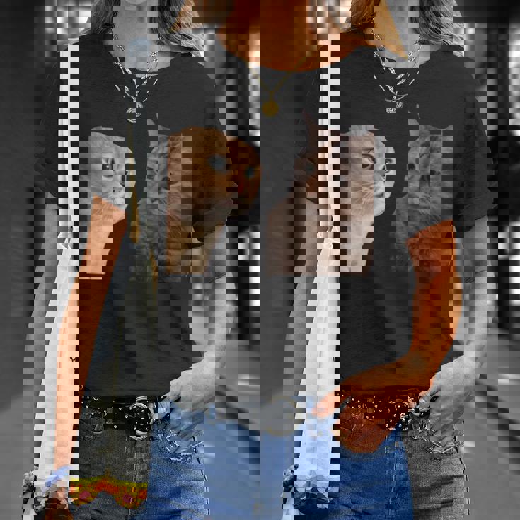 2匹の猫がミームを話す 長袖tシャツ Tシャツ 彼女への贈り物