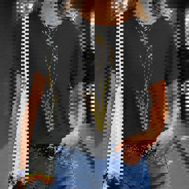 Albrecht Durerによるアイリス1503 Tシャツ 彼女への贈り物